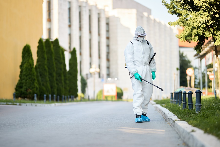 The Companies Offering Effective Pest Control Services in Indiana